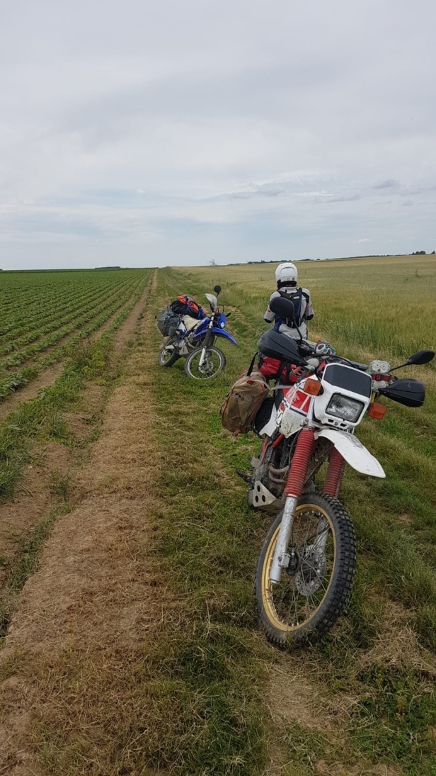 Two bikes in a field 