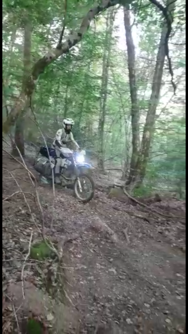 Riding motorbikes in forest trails